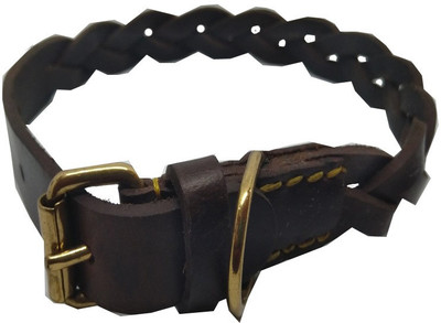 

Fantastic Dog Dog Everyday Collar(, Brown