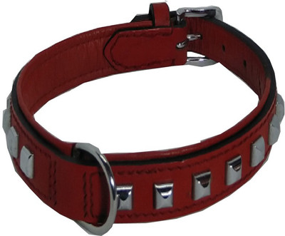 

Fantastic Dog Dog Everyday Collar(, Red