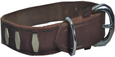 

Fantastic Dog Dog Everyday Collar(, Brown
