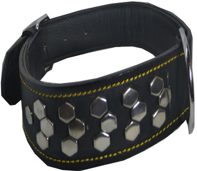 

Fantastic Dog Dog Everyday Collar(, Black