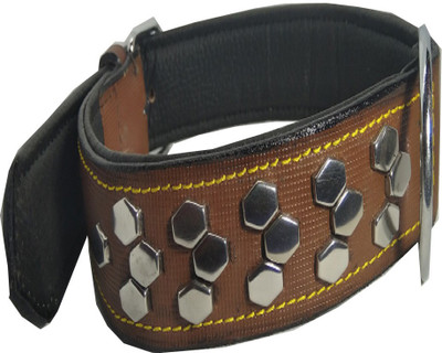

Fantastic Dog Dog Everyday Collar(, Brown