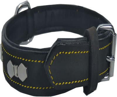 

Fantastic Dog Dog Everyday Collar(, Blue