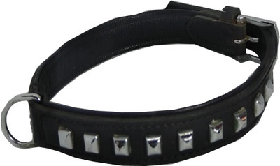 

Fantastic Dog Dog Everyday Collar(, Black
