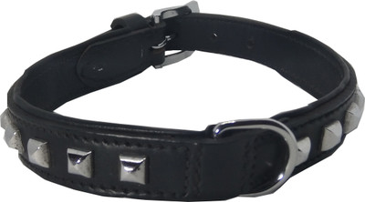 

Fantastic Dog Dog Everyday Collar(, Black