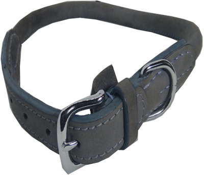 

Fantastic Dog Dog Everyday Collar(, Grey