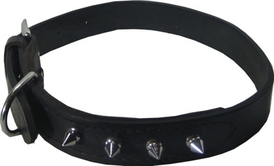 

Fantastic Dog Dog Everyday Collar(, Black