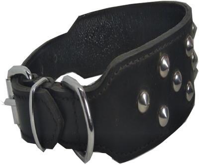 

Fantastic Dog Dog Everyday Collar(, Black