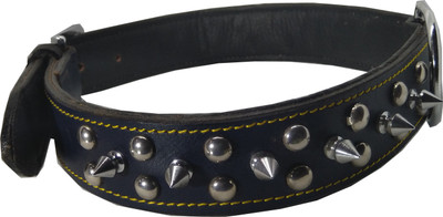 

Fantastic Dog Dog Everyday Collar(, Black