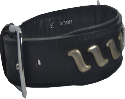 

Fantastic Dog Dog Everyday Collar(, Black
