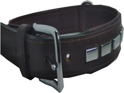 

Fantastic Dog Dog Everyday Collar(, Black