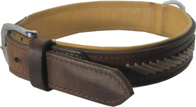 

Fantastic Dog Dog Everyday Collar(, Brown