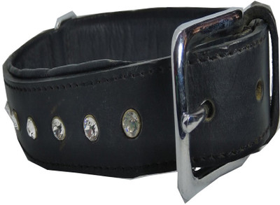 

Fantastic Dog Dog Everyday Collar(, Black