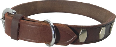 

Fantastic Dog Dog Everyday Collar(, Brown
