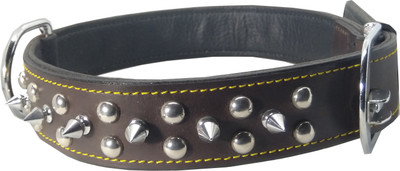

Fantastic Dog Dog Everyday Collar(, Brown