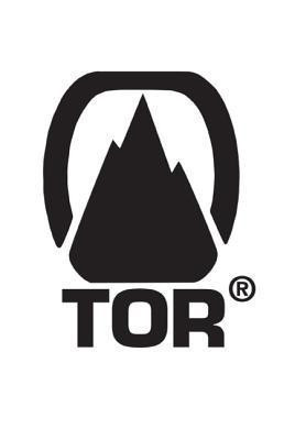 Stars and Gods(English, Paperback, Niven Larry)