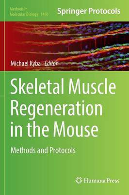 Skeletal Muscle Regeneration in the Mouse(English, Hardcover, unknown)