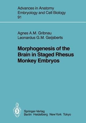 Morphogenesis of the Brain in Staged Rhesus Monkey Embryos(English, Paperback, Gribnau A.A.M.)