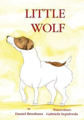 Little Wolf(English, Paperback, Benshana Daniel)