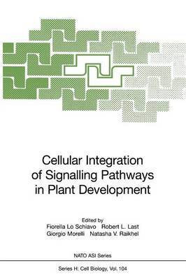 Cellular Integration of Signalling Pathways in Plant Development(English, Paperback, unknown)