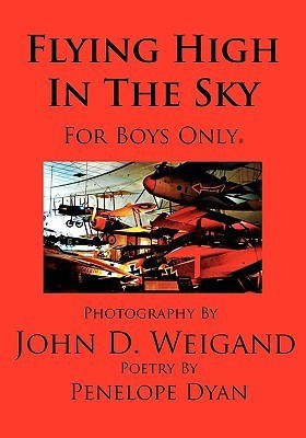 Flying High In The Sky---For Boys Only(English, Paperback, Dyan Penelope)