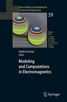 Modeling and Computations in Electromagnetics(English, Paperback, unknown)