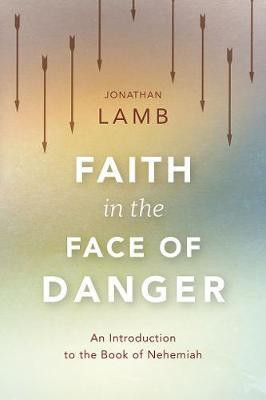 Faith in the Face of Danger(English, Paperback, Lamb Jonathan)