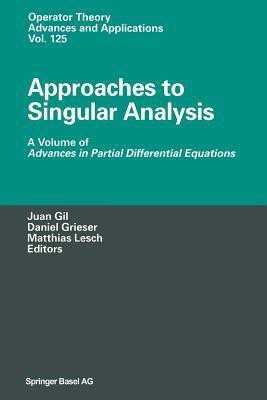 Approaches to Singular Analysis(English, Paperback, unknown)