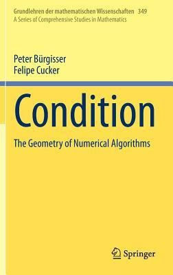 Condition(English, Hardcover, Buergisser Peter)