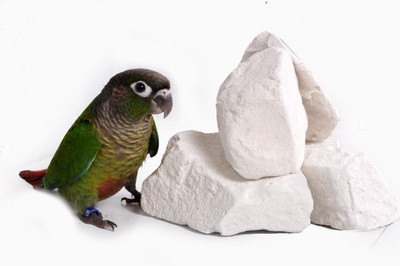 

Pet Care natural mineral block Nuts 750 Dry Bird Food