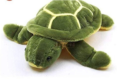 

SR & SONS Green Turtle Soft Toy - 10 cm(Green)