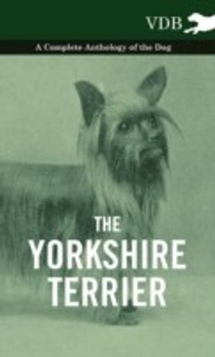 The Yorkshire Terrier - A Complete Anthology of the Dog(English, Paperback, Various)