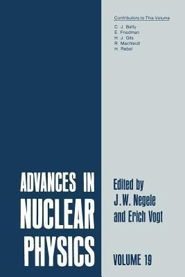 Advances in Nuclear Physics(English, Paperback, unknown)