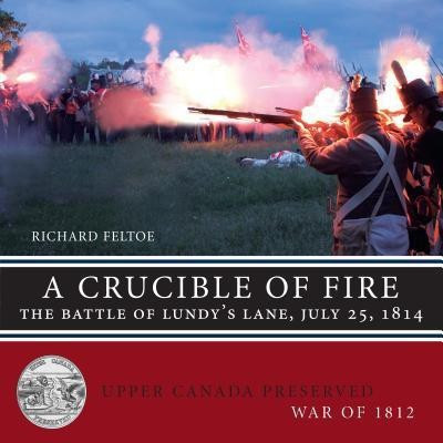 A Crucible of Fire(English, Paperback, Feltoe Richard)
