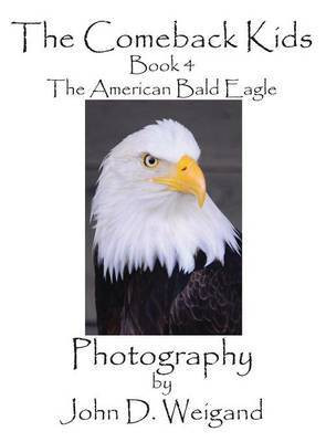 The Comeback Kids, Book 4, The American Bald Eagle(English, Hardcover, Dyan Penelope)