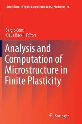 Analysis and Computation of Microstructure in Finite Plasticity(English, Paperback, unknown)