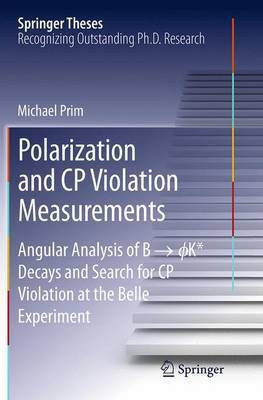 Polarization and CP Violation Measurements(English, Paperback, Prim Michael)