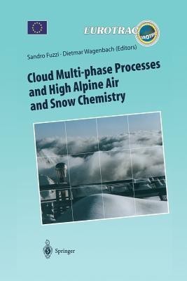 Cloud Multi-phase Processes and High Alpine Air and Snow Chemistry(English, Paperback, unknown)