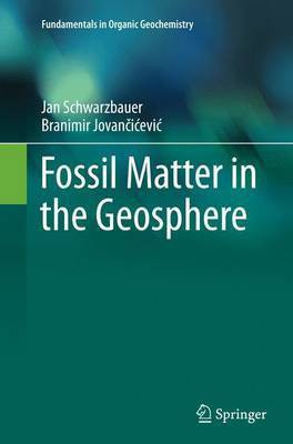 Fossil Matter in the Geosphere(English, Paperback, Schwarzbauer Jan)