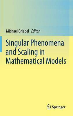 Singular Phenomena and Scaling in Mathematical Models(English, Hardcover, unknown)