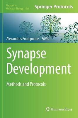 Synapse Development(English, Hardcover, unknown)