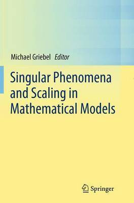 Singular Phenomena and Scaling in Mathematical Models(English, Paperback, unknown)