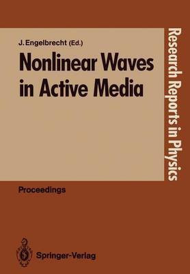 Nonlinear Waves in Active Media(English, Paperback, unknown)
