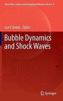 Bubble Dynamics and Shock Waves(English, Hardcover, unknown)