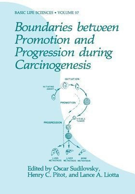 Boundaries between Promotion and Progression during Carcinogenesis(English, Paperback, unknown)