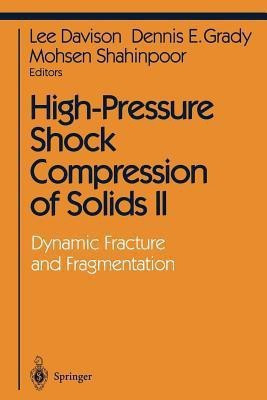 High-Pressure Shock Compression of Solids II(English, Paperback, unknown)