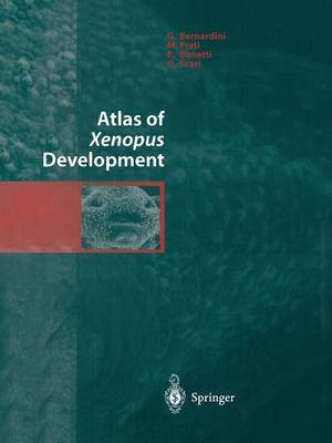 Atlas of Xenopus Development(English, Paperback, Bernardini G.)