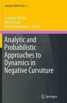 Analytic and Probabilistic Approaches to Dynamics in Negative Curvature(English, Paperback, unknown)