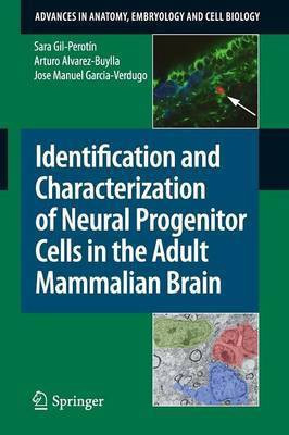 Identification and Characterization of Neural Progenitor Cells in the Adult Mammalian Brain(English, Paperback, Gil-Perotin Sara)