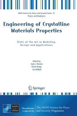 Engineering of Crystalline Materials Properties(English, Paperback, unknown)