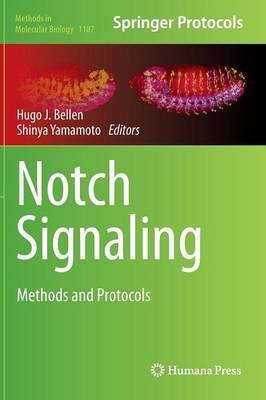 Notch Signaling(English, Hardcover, unknown)